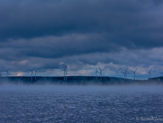 Windmills in the mist ...